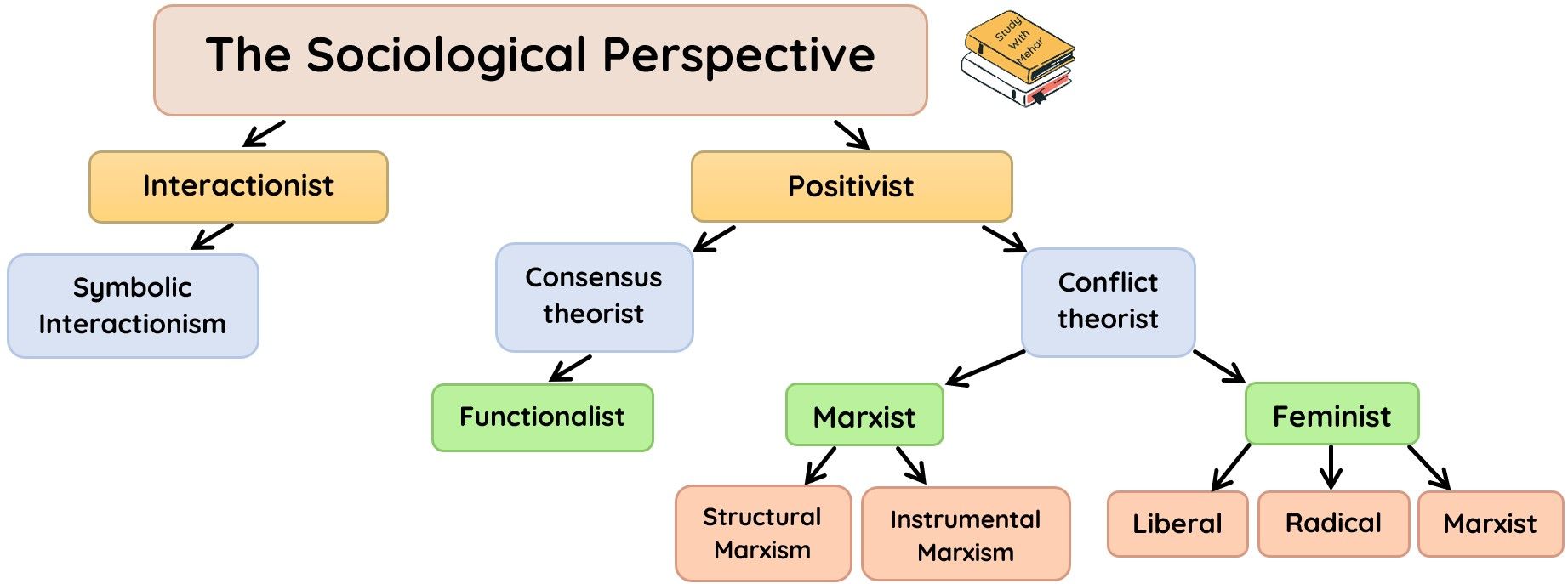 case study sociological perspective